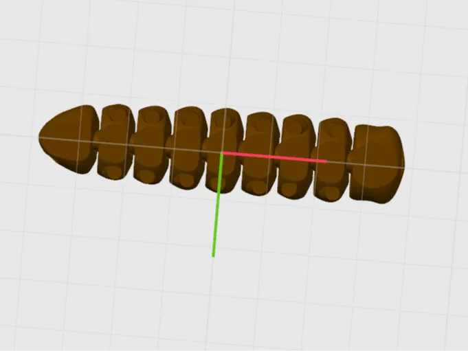 worm
