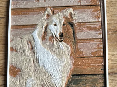 Collie Hueforge 
