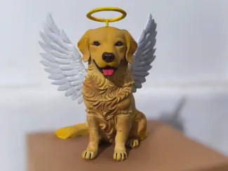 golden single cachorro