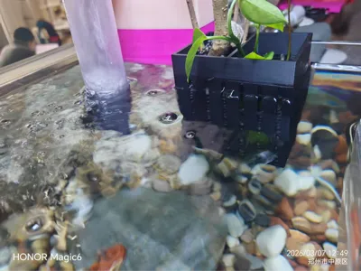 8MM fish tank hydroponic basket