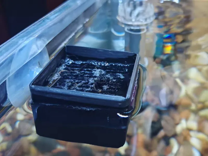 鱼虫喂食器