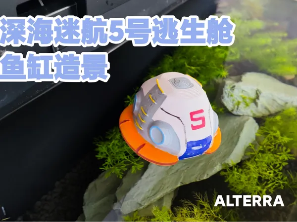 https://makerworld.bblmw.com/makerworld/model/DSM00000002489702/design/c0d85e652789e74b.jpg
