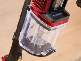 shark clip
