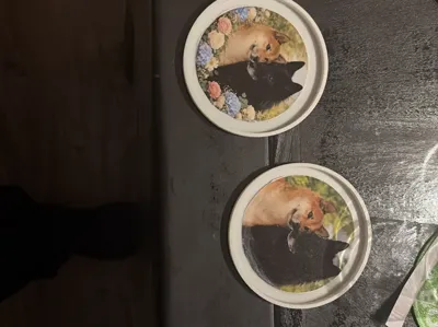 Coaster, you can insert your own round photo