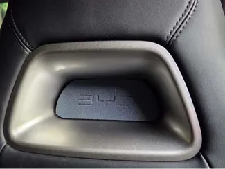 BYD dolphin surf pillow (no logo version)