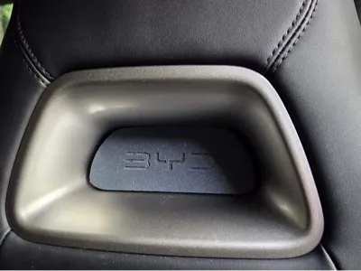 BYD dolphin surf pillow (no logo version)