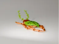 Leaf Bug