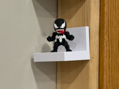 Display Shelf