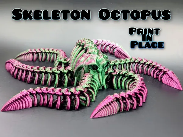 https://makerworld.bblmw.com/makerworld/model/DSM00000002494097/design/2026-03-08_wa6t5qotd265.jpeg