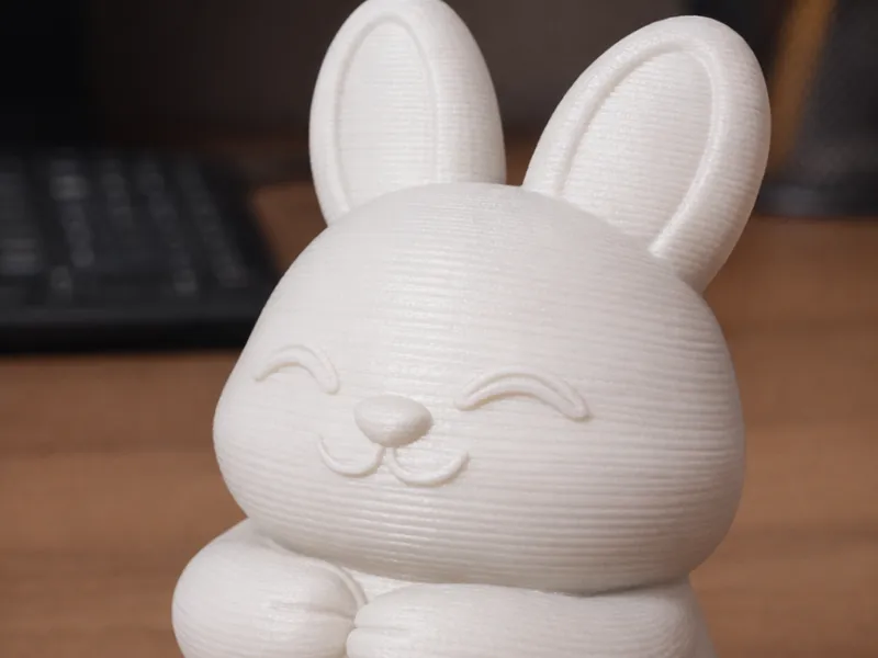 Cute Bunny
