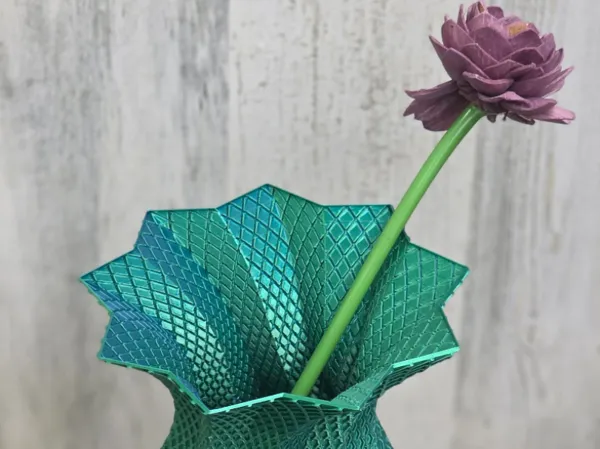 https://makerworld.bblmw.com/makerworld/model/DSM00000002496167/design/5437a85a385cd0ea.jpg