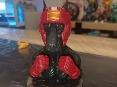 Doberman boxer