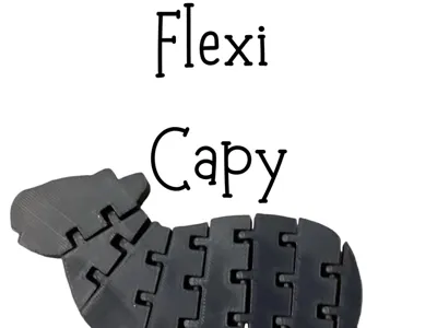Flexi Capy