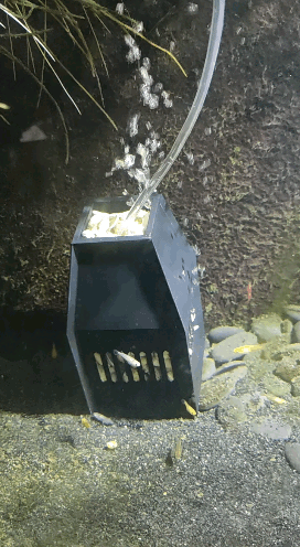 水妖精 反气举鱼缸过滤器
