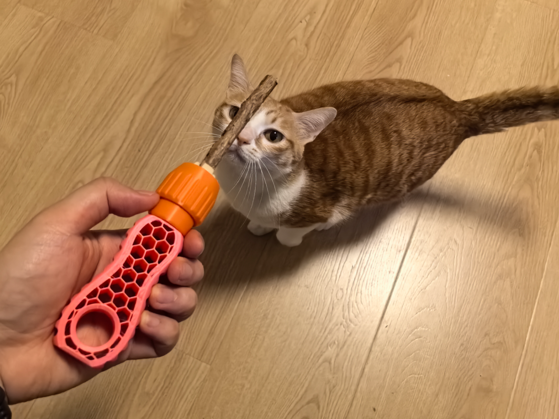 木天蓼延长手柄-猫棍-磨牙棒-棍状夹具
