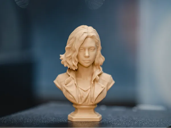https://makerworld.bblmw.com/makerworld/model/DSM00000002499315/design/aeeea3f47f16965c.jpg
