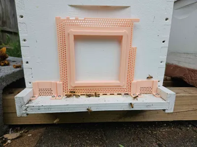 Ventilated Beehive Entrance Reducer & Mouse Guard