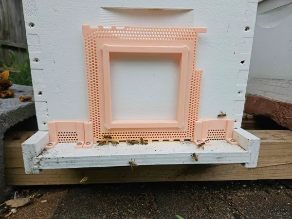 https://makerworld.bblmw.com/makerworld/model/DSM00000002499510/design/40d6db7af2216069.jpg