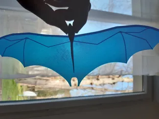The BatBoy