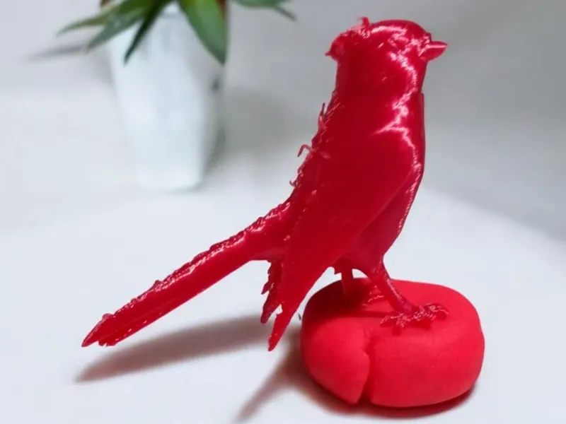 Pajaro