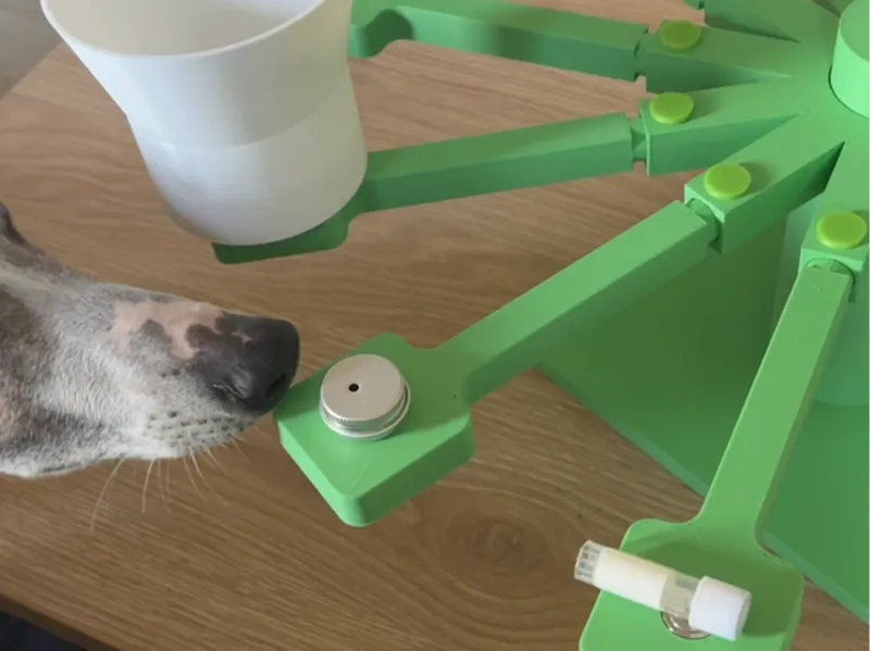 Nosework  carousel / scent wheel