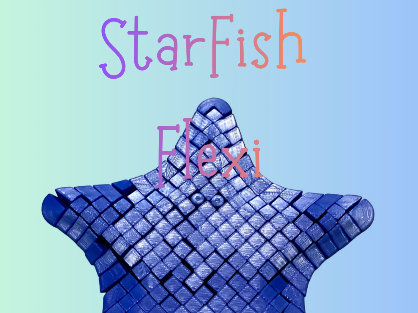 StarFish Flexi