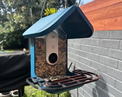 Large, Wrap-Around Perch for Birdbuddy