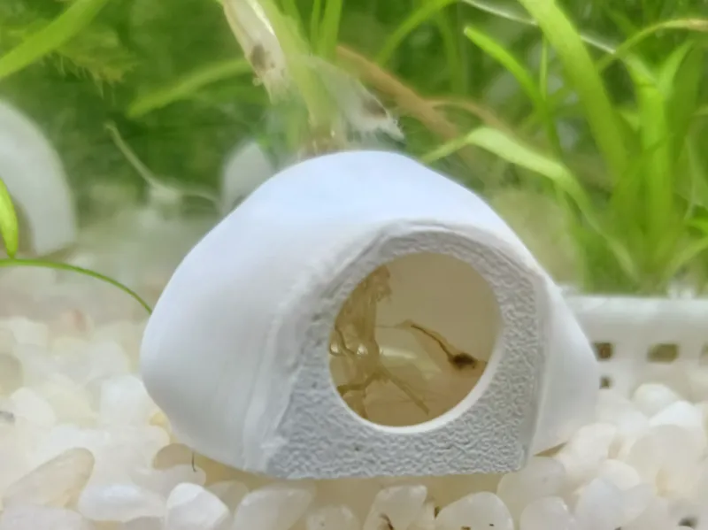 偷窥鱼虾躲避屋