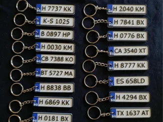 BG Lincensplate keychain