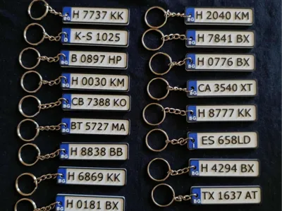 BG Lincensplate keychain