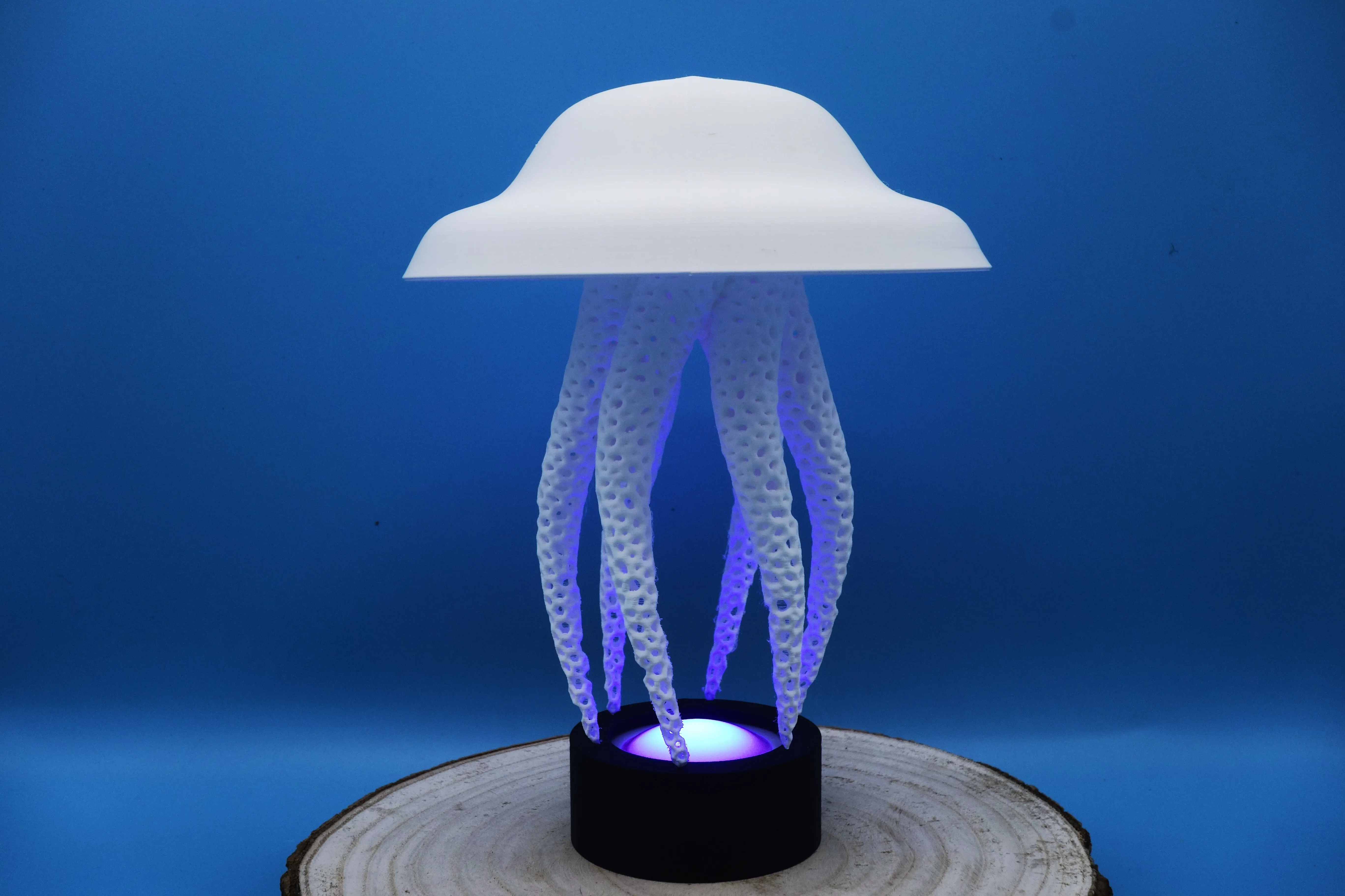 remote plug led