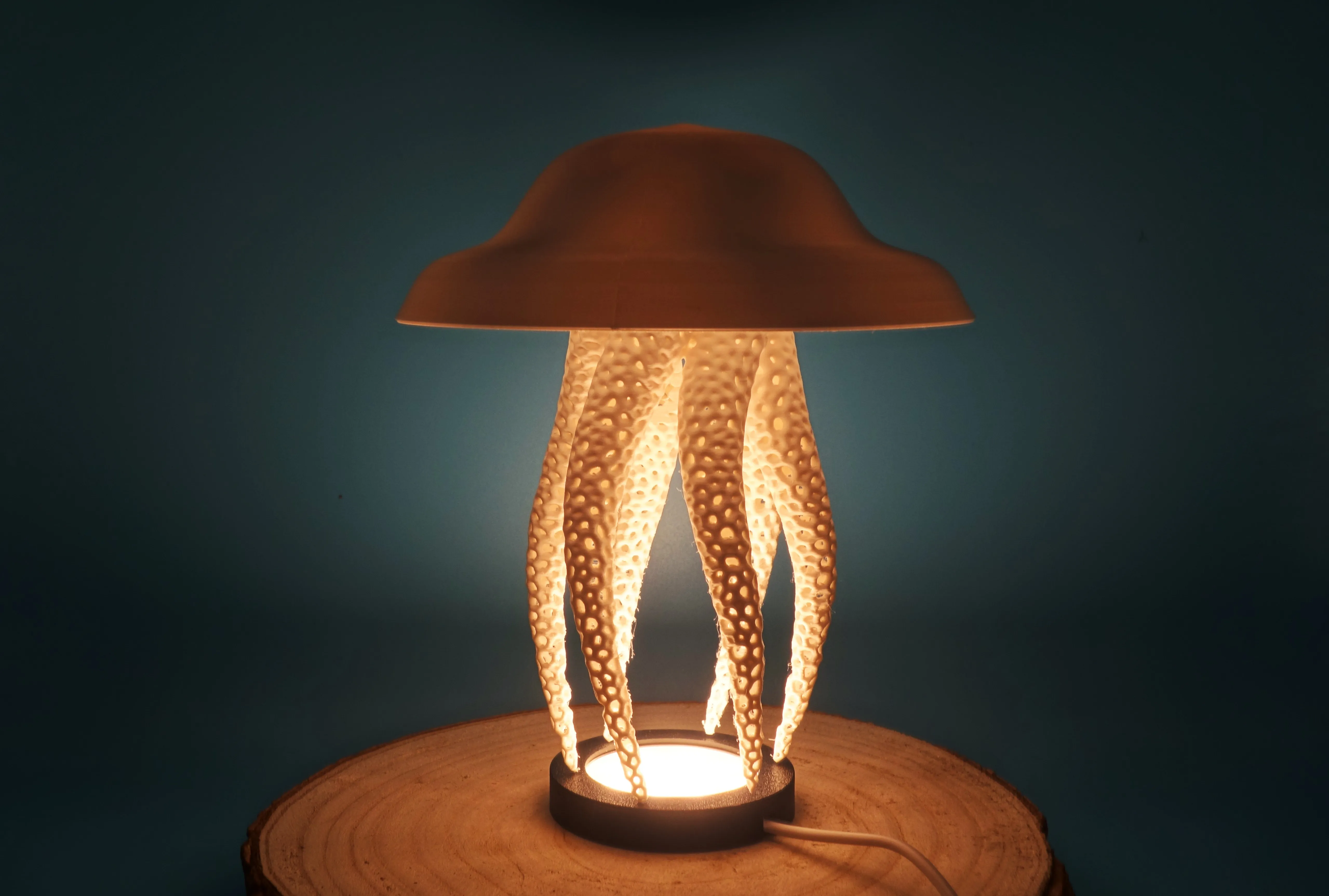 Lamp Kit