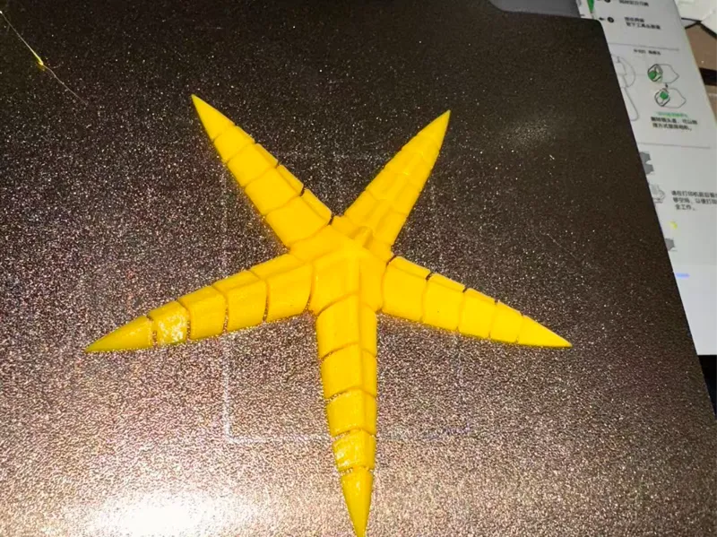 starfish