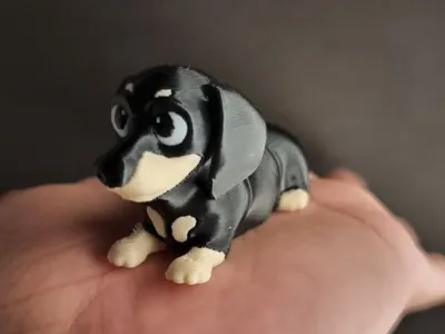 Dachshund Dog / Wiener Dogs / colored / flexi