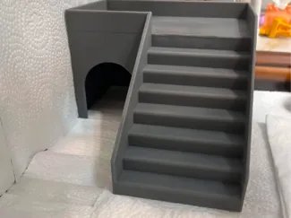 Tortoise house and ramp