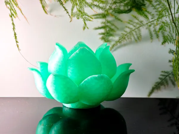 https://makerworld.bblmw.com/makerworld/model/DSM00000002508645/design/6b95da046ae6aefb.jpg