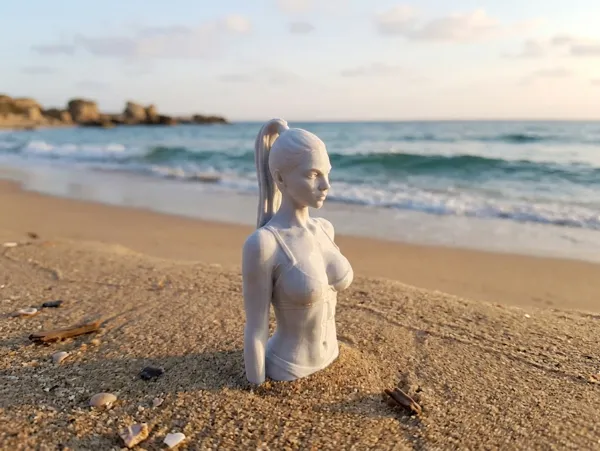 https://makerworld.bblmw.com/makerworld/model/DSM00000002509095/design/2026-03-11_9ap132cimv8l.png