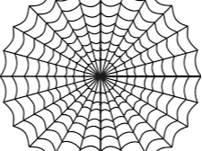 spider web