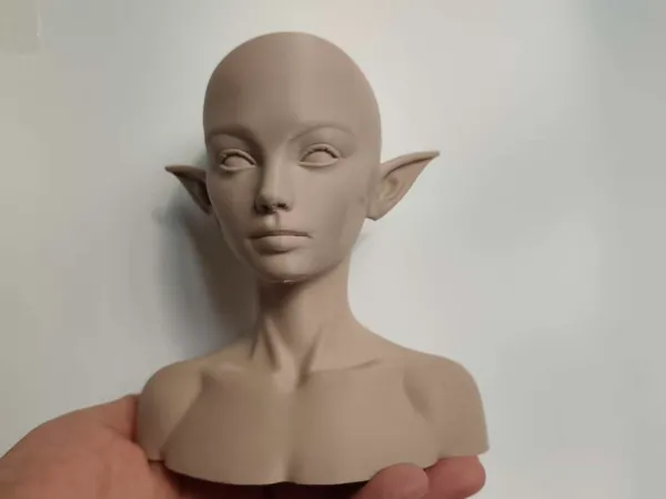 https://makerworld.bblmw.com/makerworld/model/DSM00000002511321/design/8e5bc78e4c4204d6.jpg
