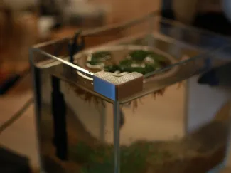鱼缸保护角 