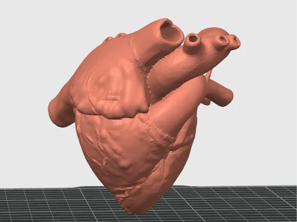 https://makerworld.bblmw.com/makerworld/model/DSM00000002512870/design/160b767a35b66e84.png