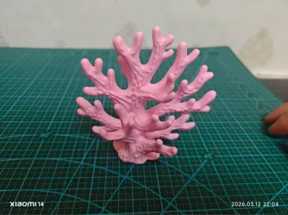 珊瑚