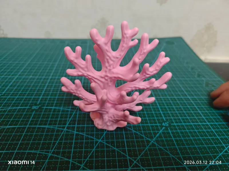 珊瑚