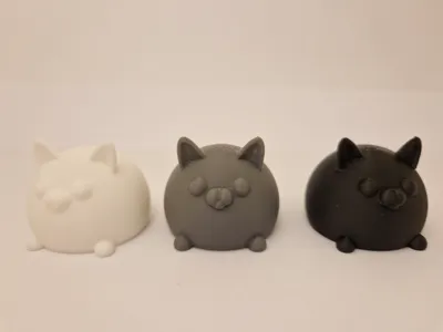 Cute cat