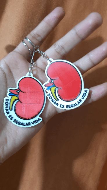 Kidney Keychain - Two Versions