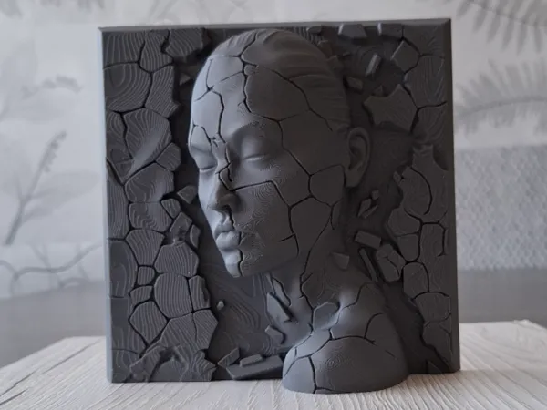 https://makerworld.bblmw.com/makerworld/model/DSM00000002516280/design/b17f7a7f93210801.jpg