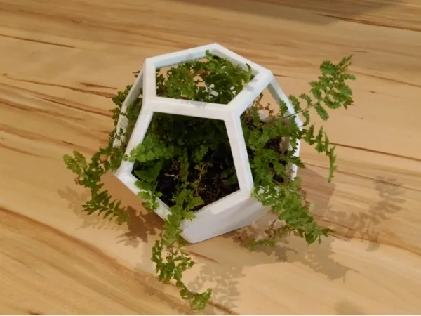 https://makerworld.bblmw.com/makerworld/model/DSM00000002516916/design/a212a0293ceccb49.jpg