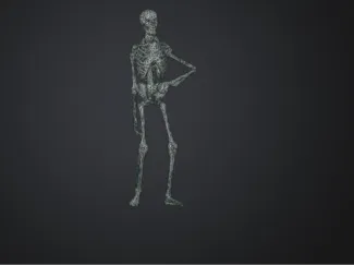 Skeleton