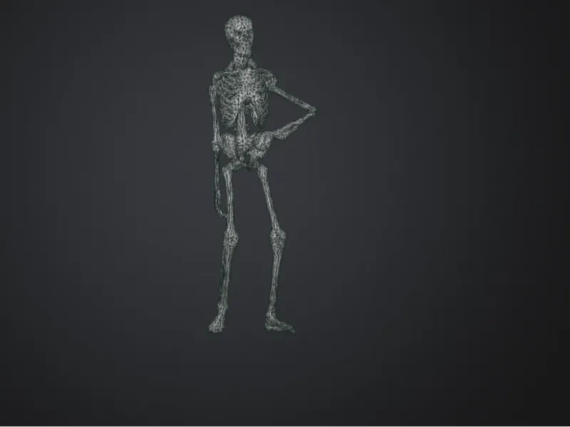 Skeleton