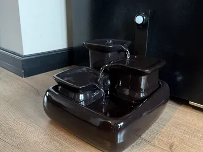 Miaustore motion dectector stand